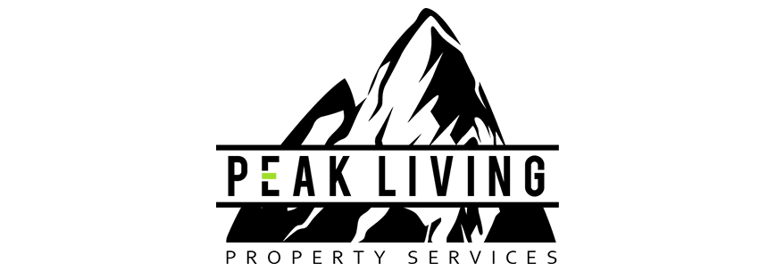 _0006_Layer-1